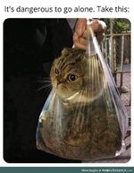 cat bag.jpg