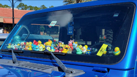 ducks.png