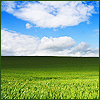 Clouds2.jpg
