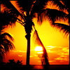 Paradise.jpg