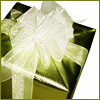 Present.jpg